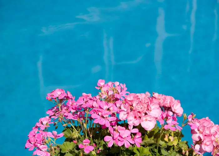 Отель Kristel 4*